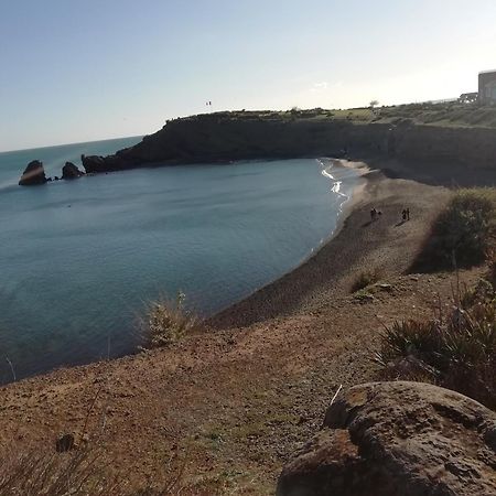 Tres Beau Studio Cabine آجد المظهر الخارجي الصورة